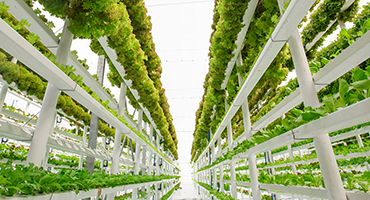 Vertical_farming_thumb