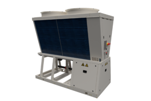 adesivi1 no background